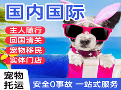 长乐机场邮寄国际宠物托运 【国